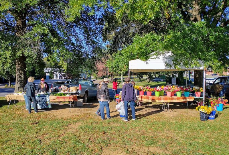 Life Moves Slow In This Beautiful Georgia Town And Rent Is Still Under $750 A Month - Decor Hint Whitfield County's Farmers Market