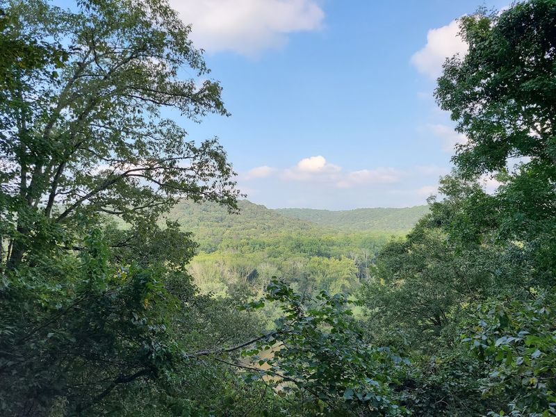 Turnhole Bend Nature Trail