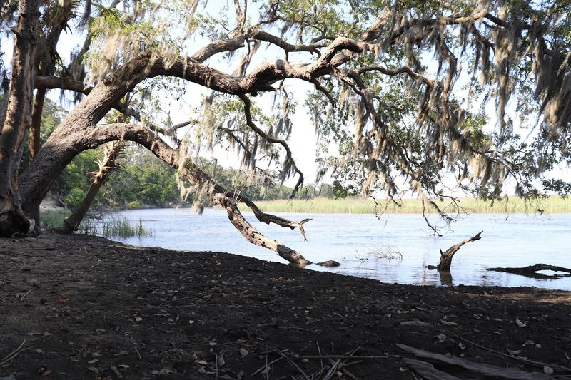 Skidaway Island And Nearby Barrier Islands