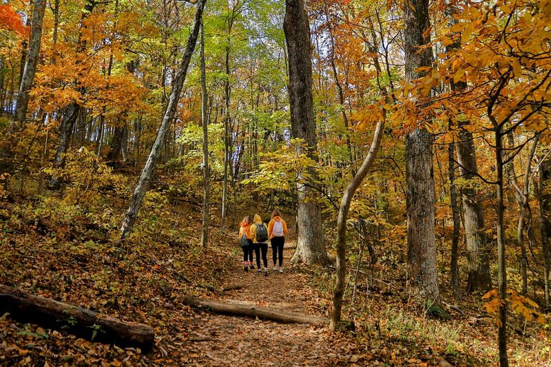 Sharp Top Trail, Bedford