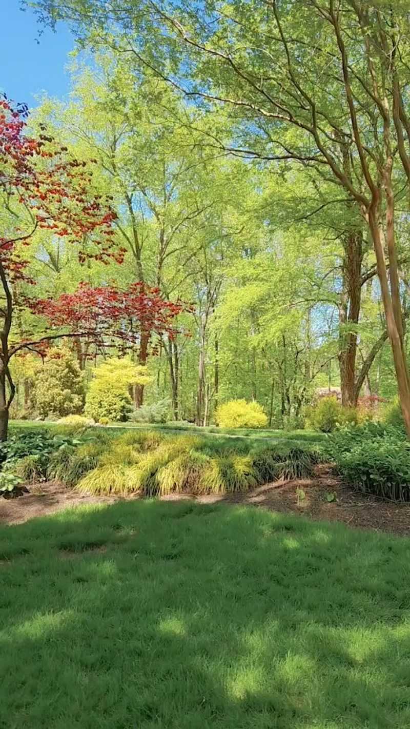 Seasonal Flowers and Botanical Beauty
