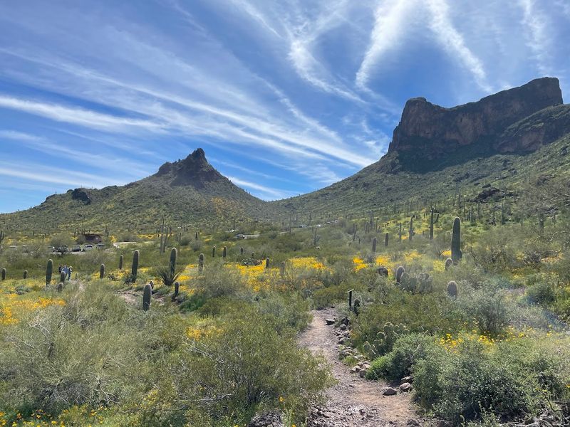 Picacho Peak State Park