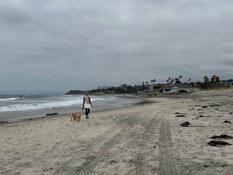 Cardiff State Beach, Cardiff-by-the-Sea