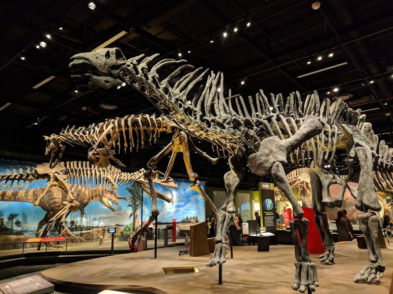 Denver Museum Of Nature & Science