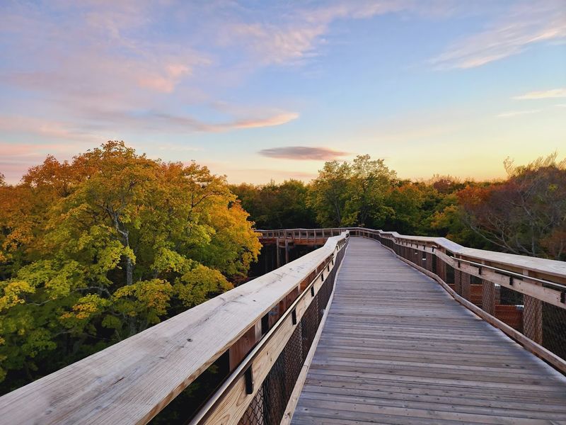 These Wisconsin Parks Offer The Kind Of Nature Escape You Didn't Know You Needed - Decor Hint Peninsula State Park