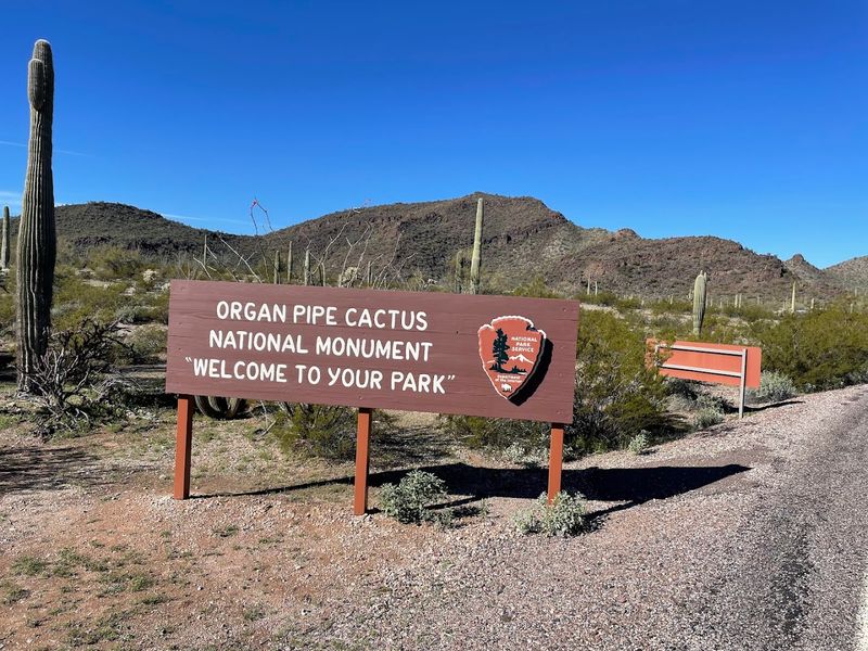 Organ Pipe Cactus National Monument