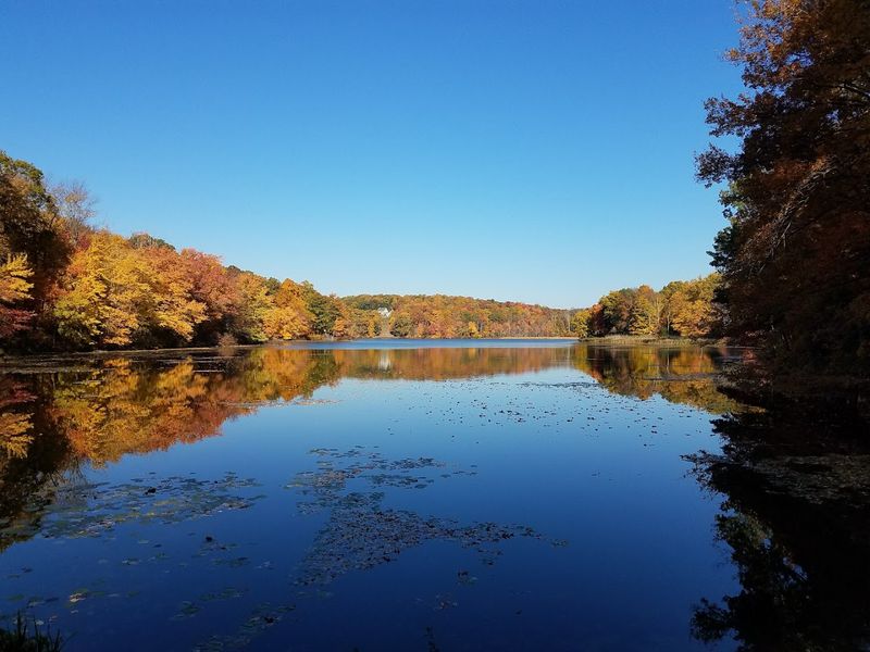Watch The Seasons Change With Stunning Foliage