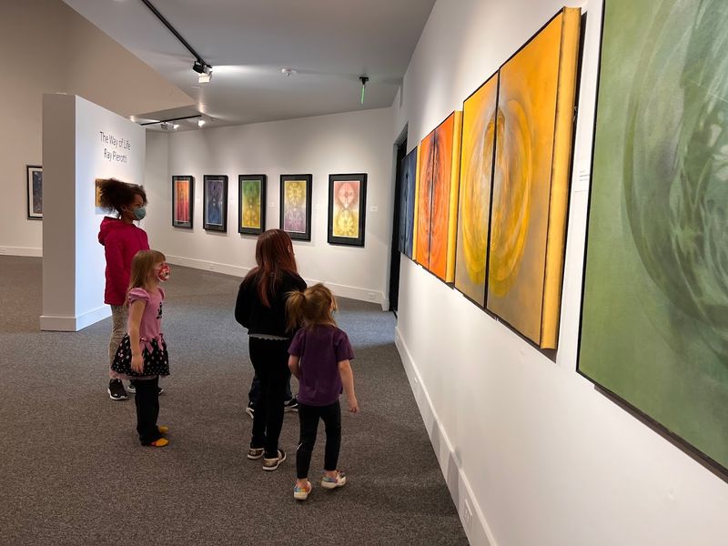 Albany Museum Of Art