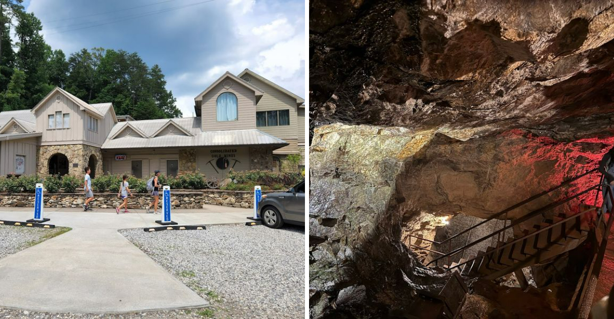 Discover A Hidden Underground Gold Mine Tour In Georgia Full Of History And Adventure - Decor Hint