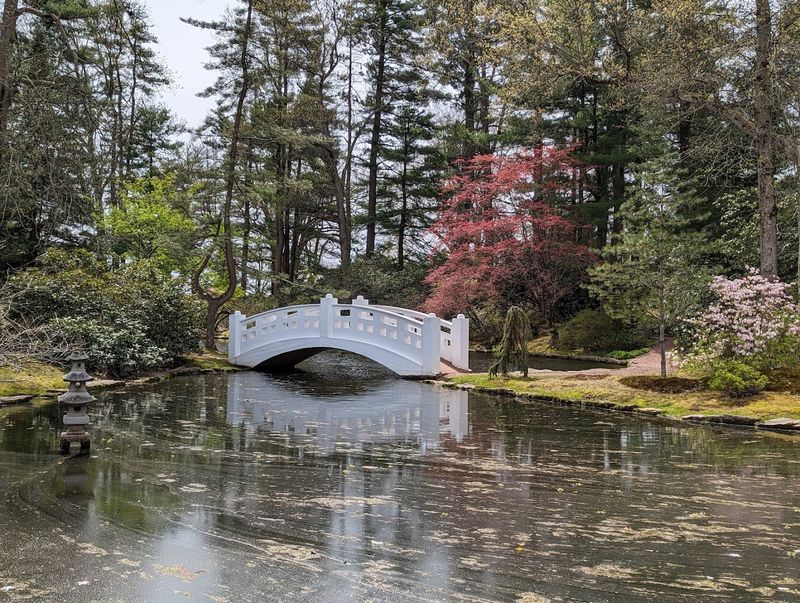 Marvel At Scenic Bridges And Garden Sculptures