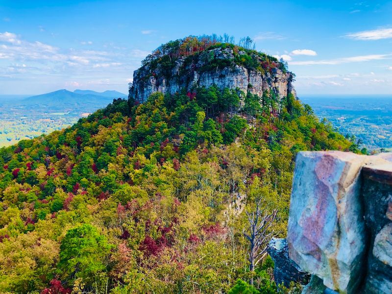 Pilot Mountain State Park - Fiddlehead Trail