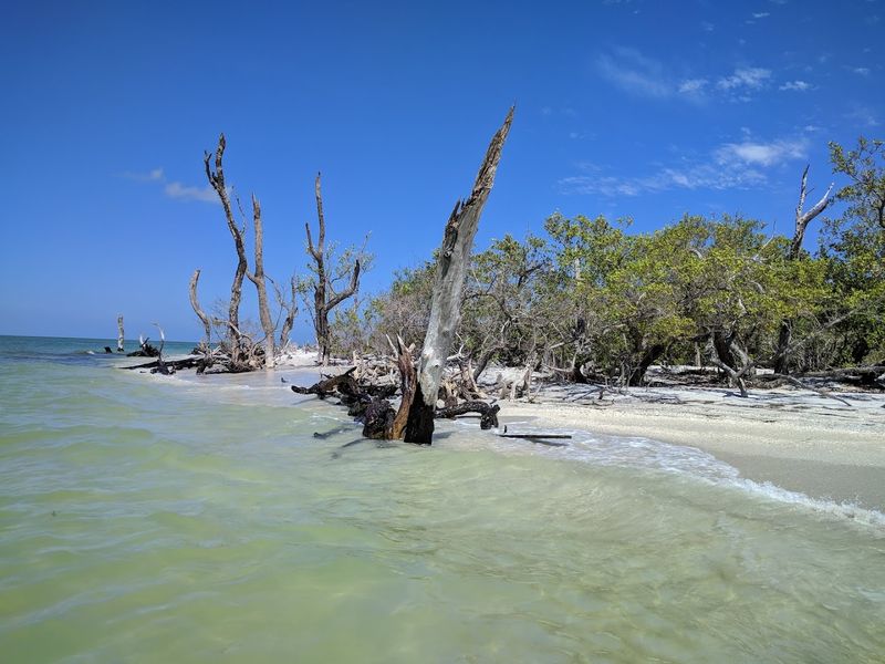 Kayaking And Paddleboarding Through Mangrove Shorelines