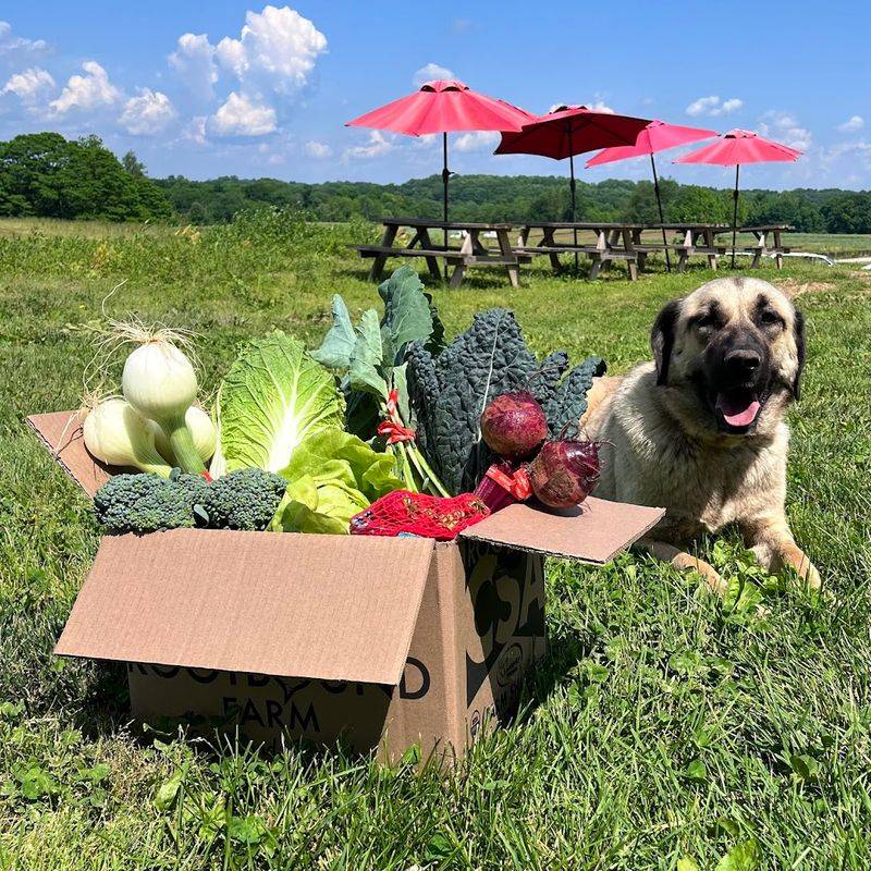 Rootbound Farm