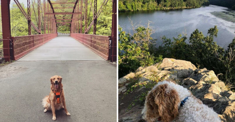 Dogs And Their Owners Cannot Get Enough Of This Peaceful Connecticut Park