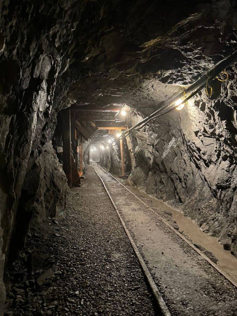 Sierra Silver Mine Tour