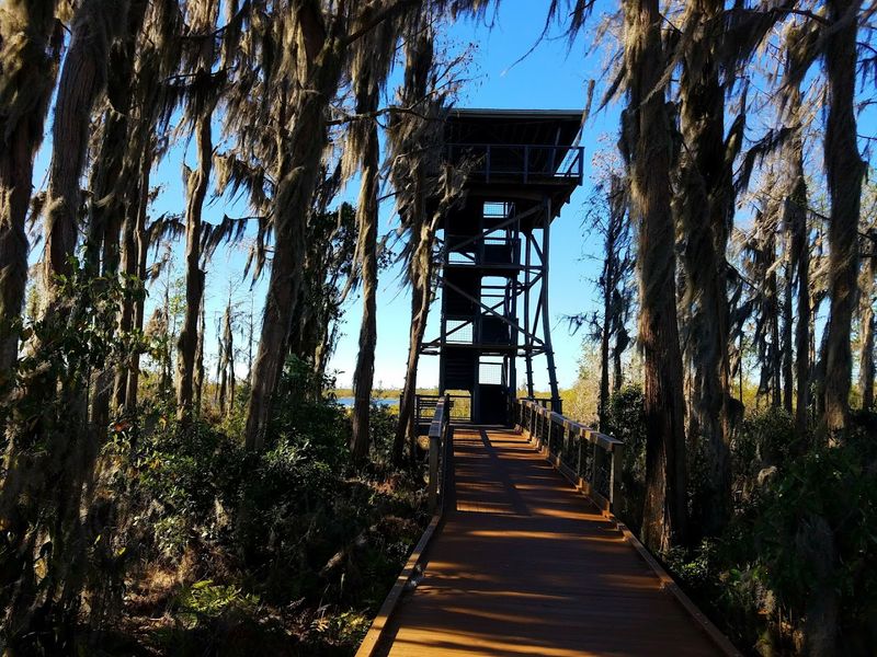 Okefenokee National Wildlife Refuge