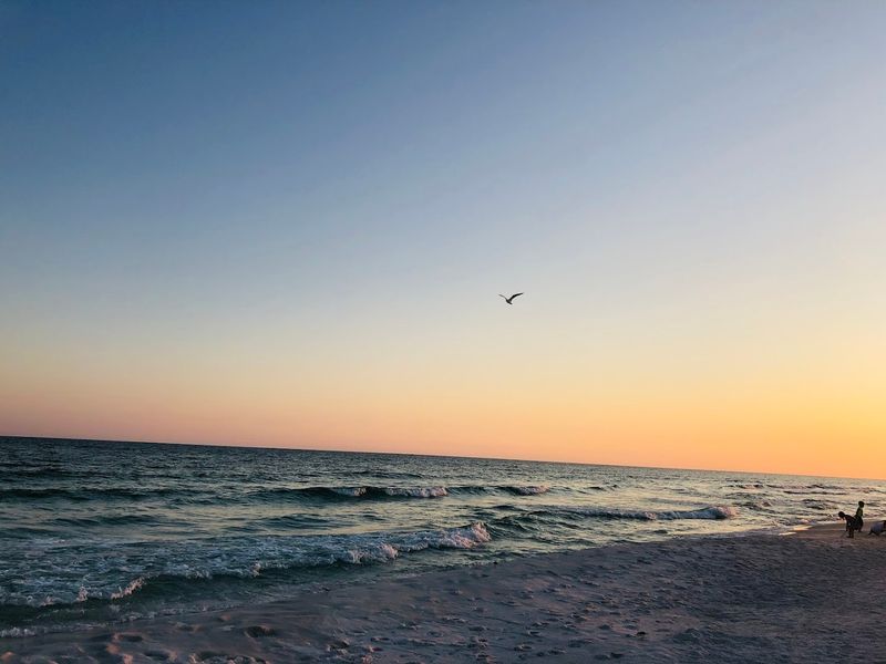 Pensacola Beach, Pensacola