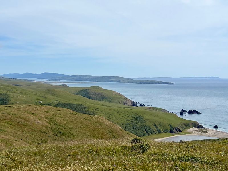 These 13 Dog-Friendly Trails In Northern California Are Perfect For A Weekend Outing - Decor Hint Estero Americano Coast Preserve, near Bodega Bay