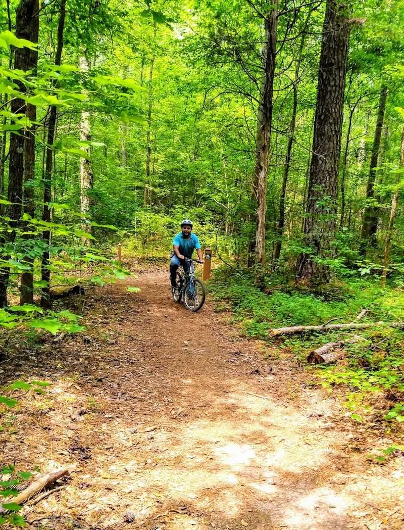 14 Remote Georgia Pedaling Destinations That Feel Impossibly Peaceful - Decor Hint Yellow River Park