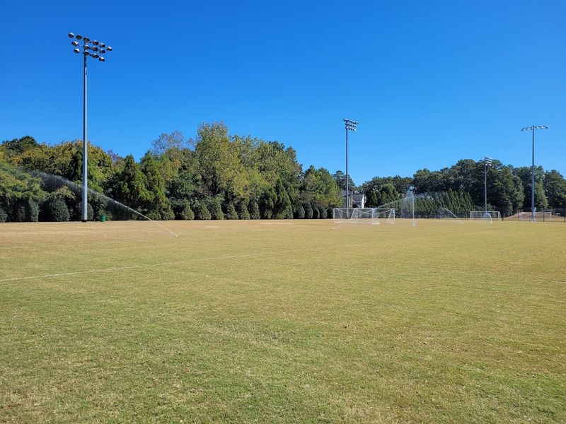 Open Green Fields Perfect For Free Play