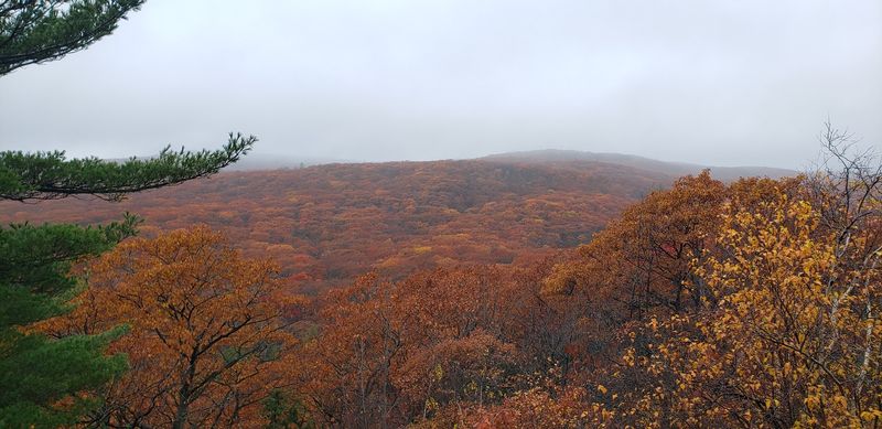 Seasonal Foliage Makes Each Visit Unique