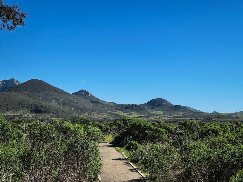 Morro Bay State Park And The Natural Setting That Frames Every Meal