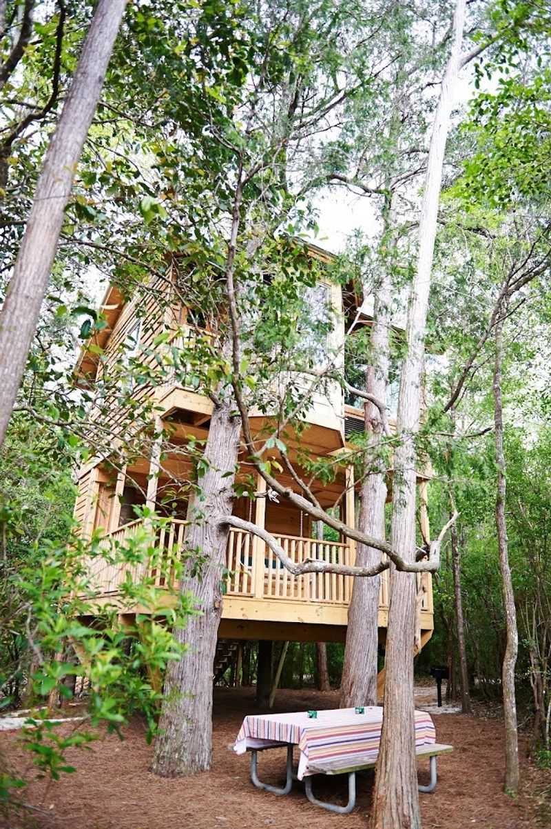 Adventures Unlimited At Coldwater Creek