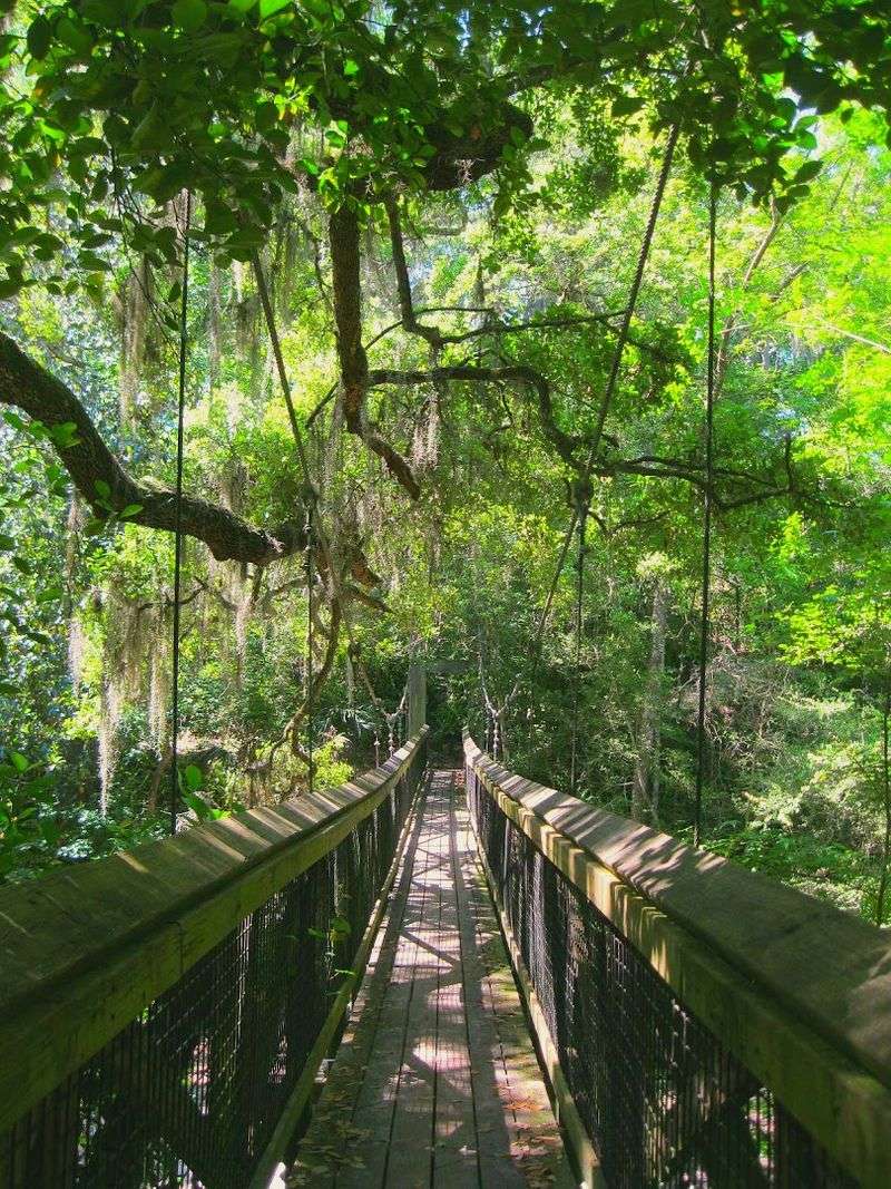 Ravine Gardens State Park