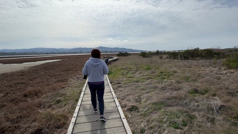 Morro Bay State Park Marina Peninsula Trail, Morro Bay