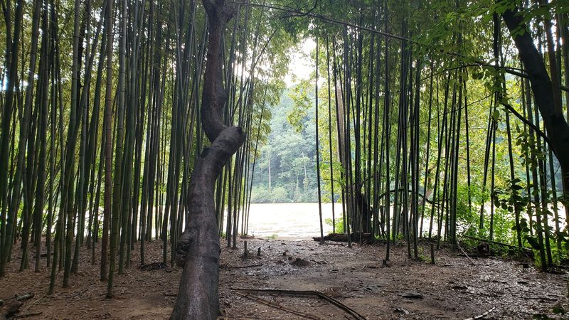 A Free And Accessible Outdoor Experience