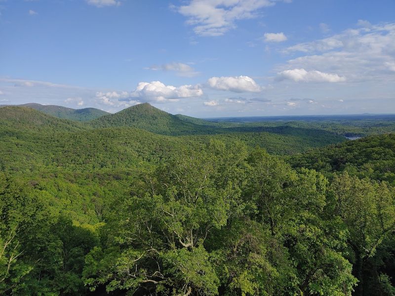 Birdwatching in the Mountains: A Quiet Hobby With Big Rewards