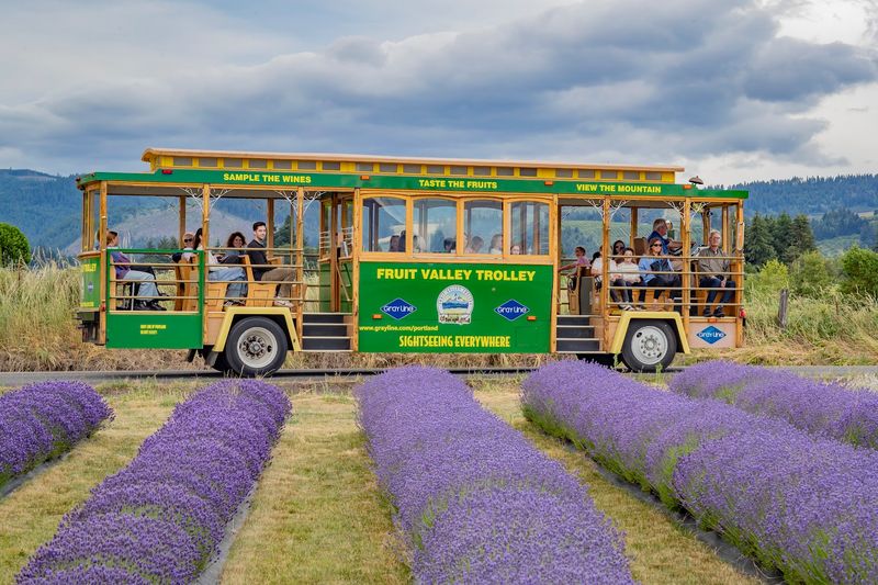 Seasonal And Themed Train Excursions