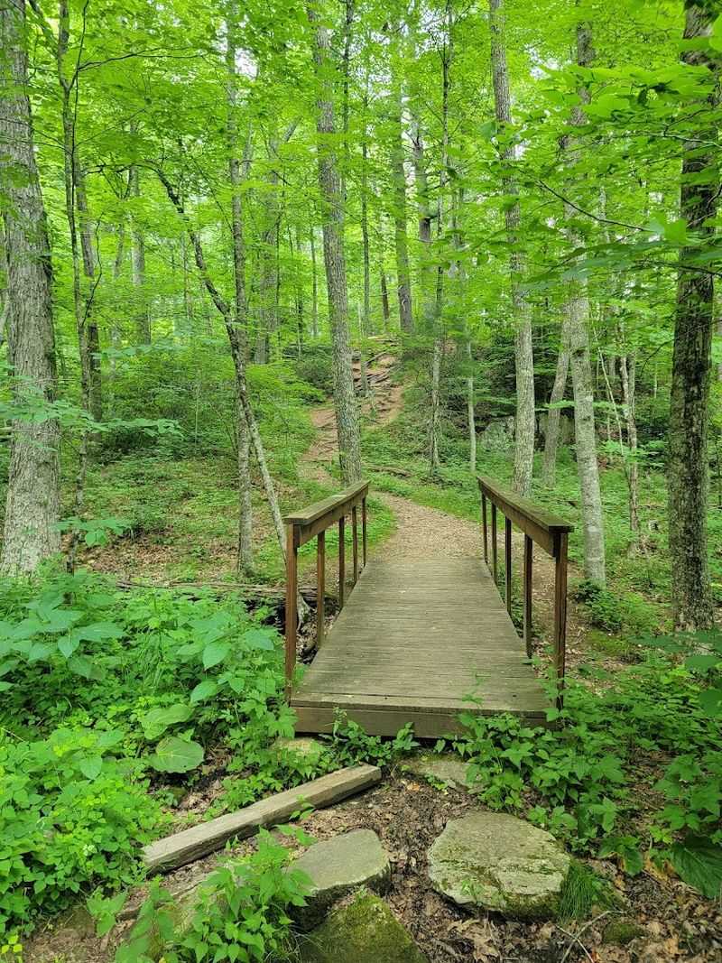 Secluded Trails That Feel Worlds Away From The City