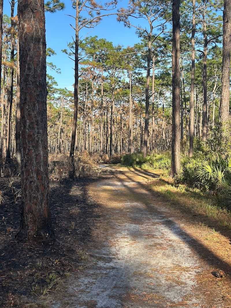 Palmetto Trail Trailhead St. Marys