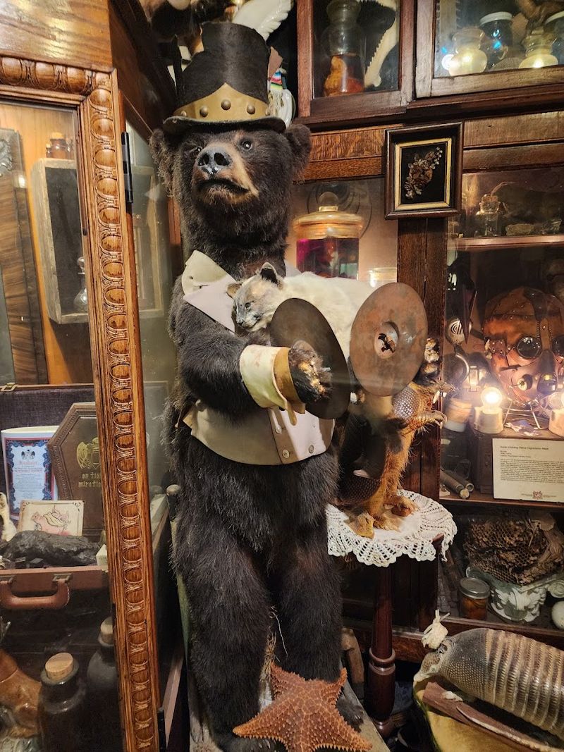 A Living Museum That Keeps Growing