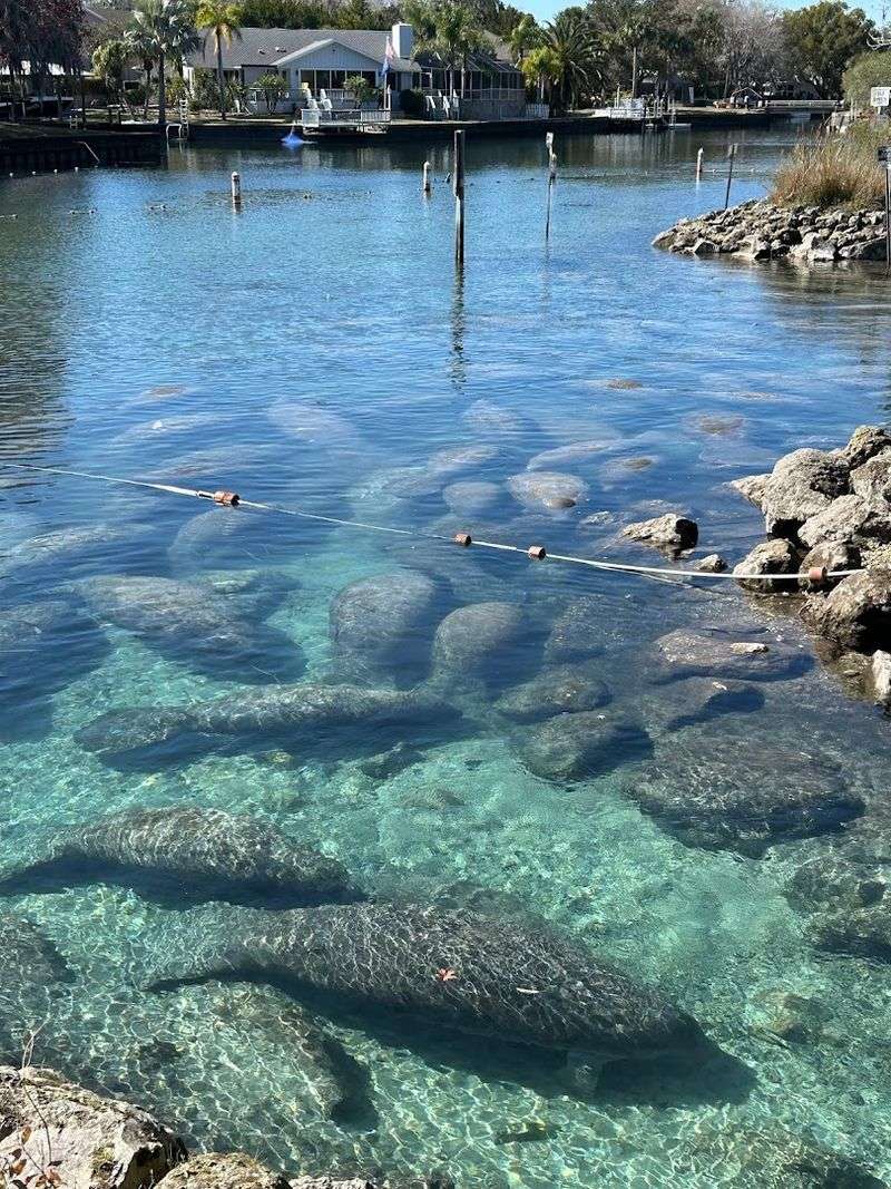 Crystal River National Wildlife Refuge