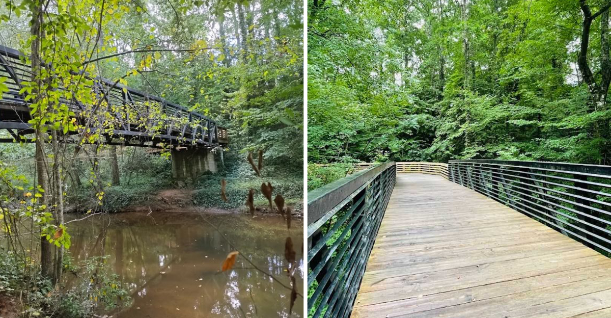 Everyone In Georgia Should Walk This Scenic Boardwalk At Least Once - Decor Hint