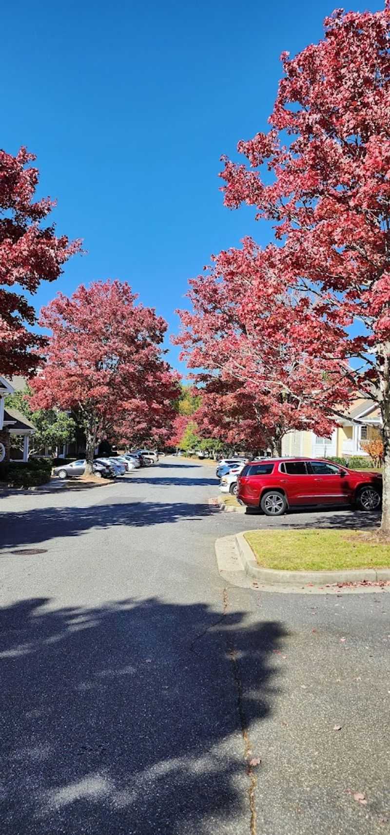 This Georgia City Was Named The Best Place To Retire In The Golden State - Decor Hint Mild Four-Season Climate