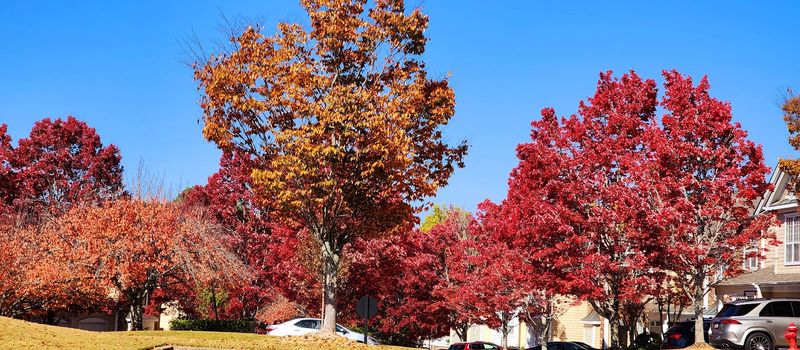 This Georgia City Was Named The Best Place To Retire In The Golden State - Decor Hint Strong Sense of Community and Belonging
