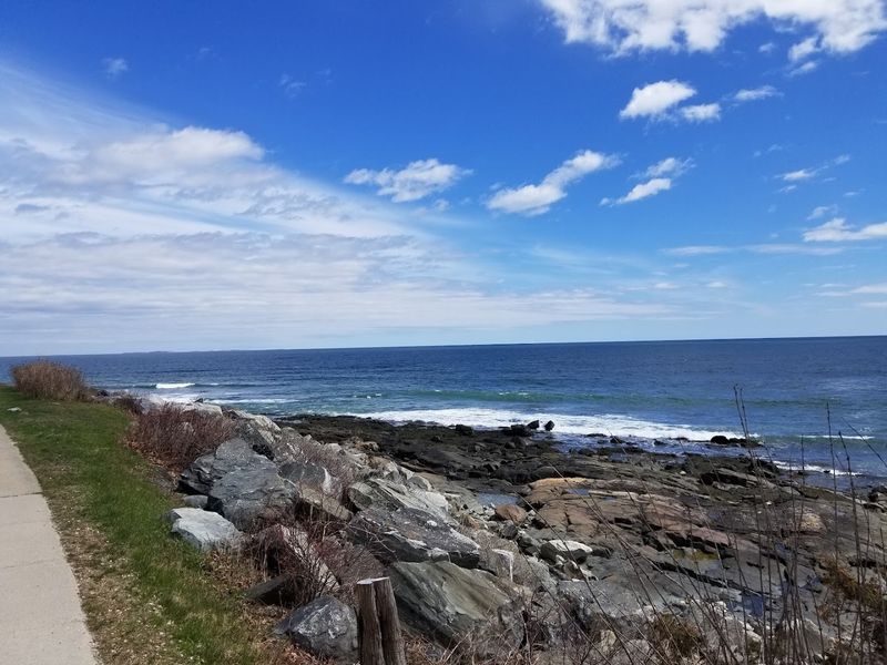Rye