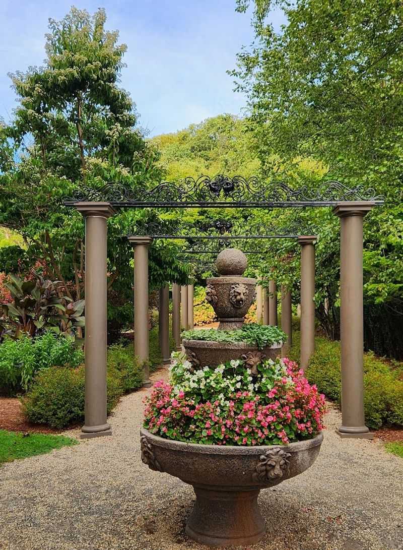 Stroll Among Colorful Flowers And Lush Greenery