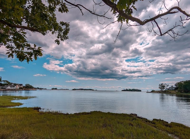Try Chowder, Steamers, Clams, And Oysters