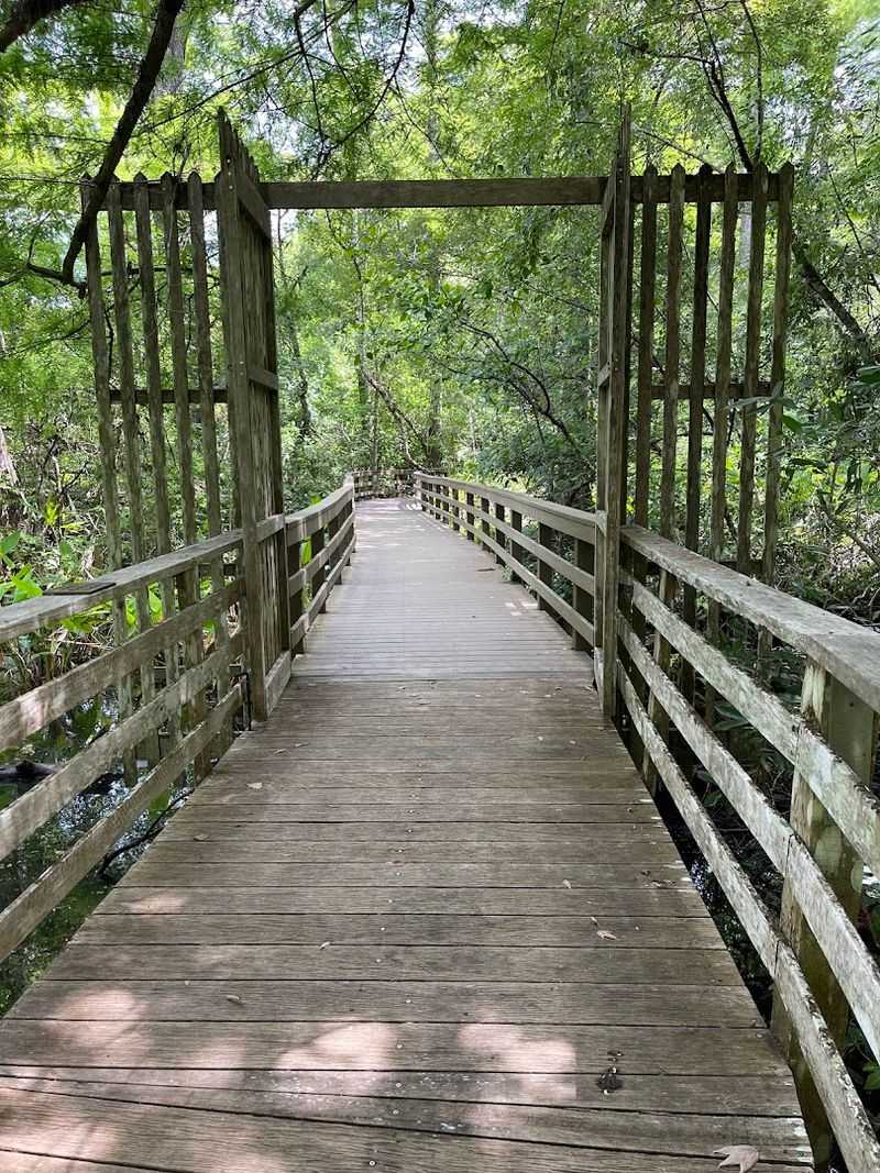 Corkscrew Swamp Sanctuary