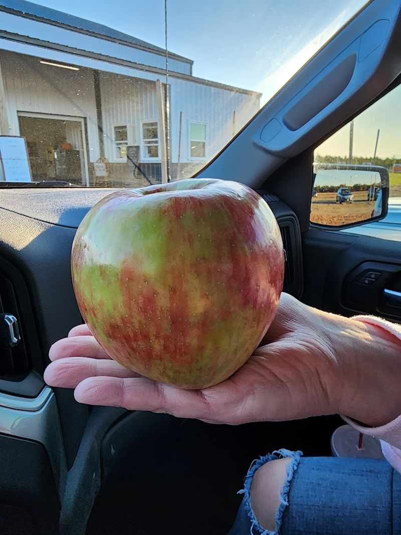 Apple Days And Fresh Orchard Apples