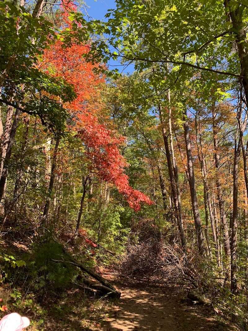 Fall Foliage Season Transforms The Trail Completely