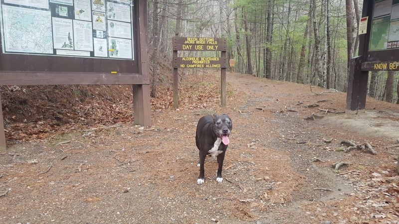 No Entry Fee Makes It Accessible For Everyone