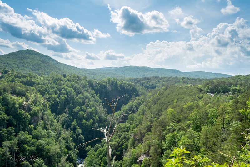A Campground That Feels Like A True Forest Escape
