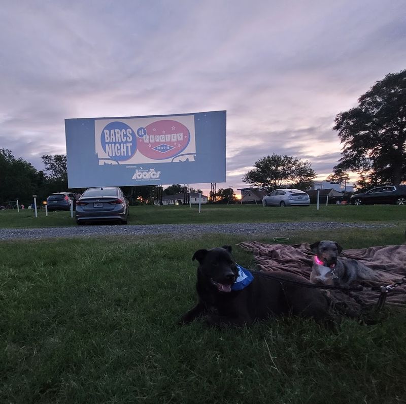 Special Events That Turn A Movie Night Into A Memory
