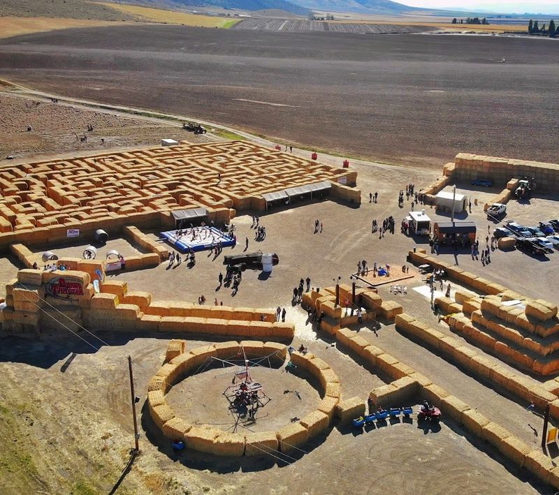 This Idaho Straw Maze Turns A Farm Day Into A Full-On Family Adventure - Decor Hint Burley Makes The Outing Easy