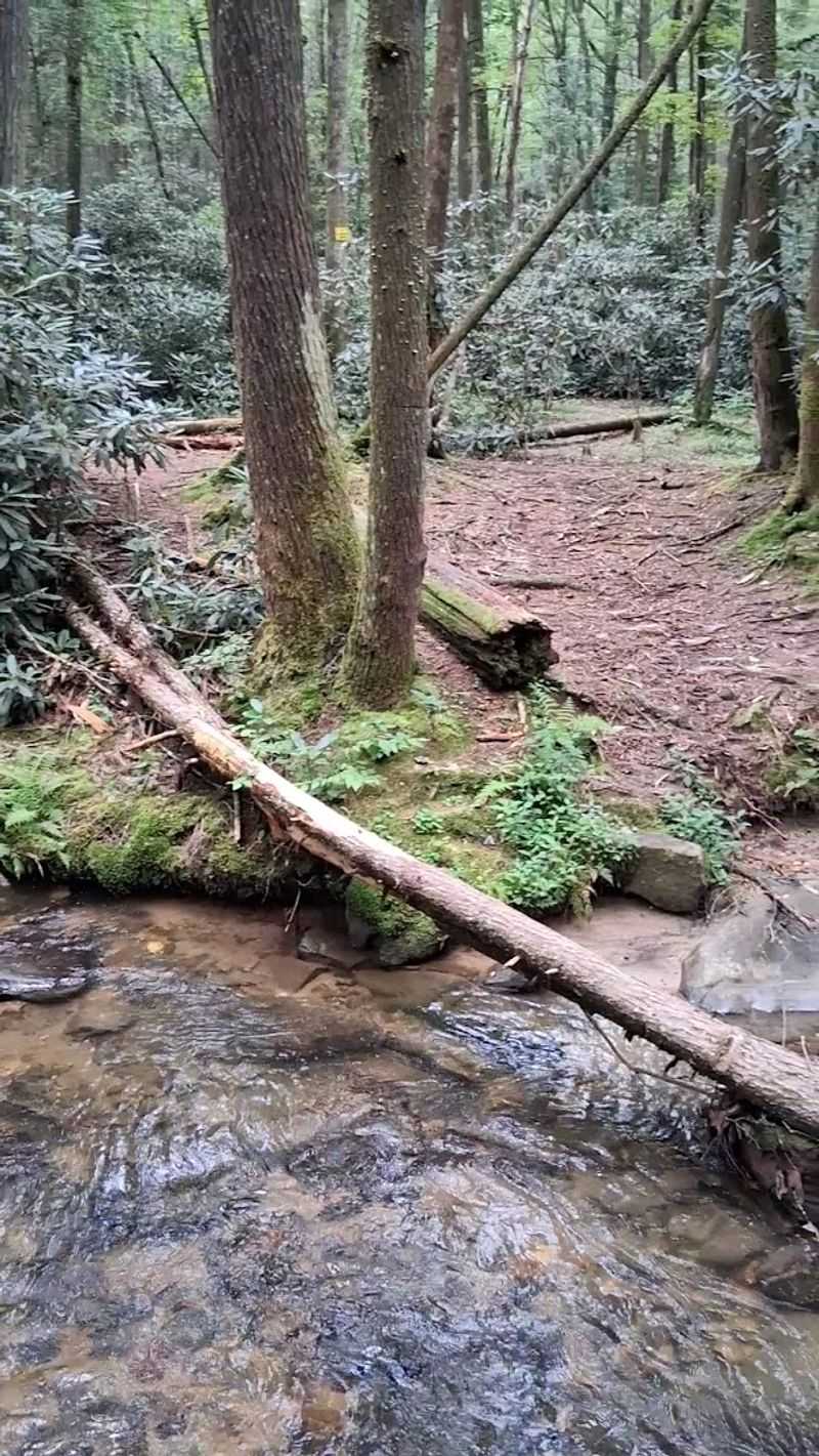 Hiking Trails That Feel Like a Secret Only Locals Know